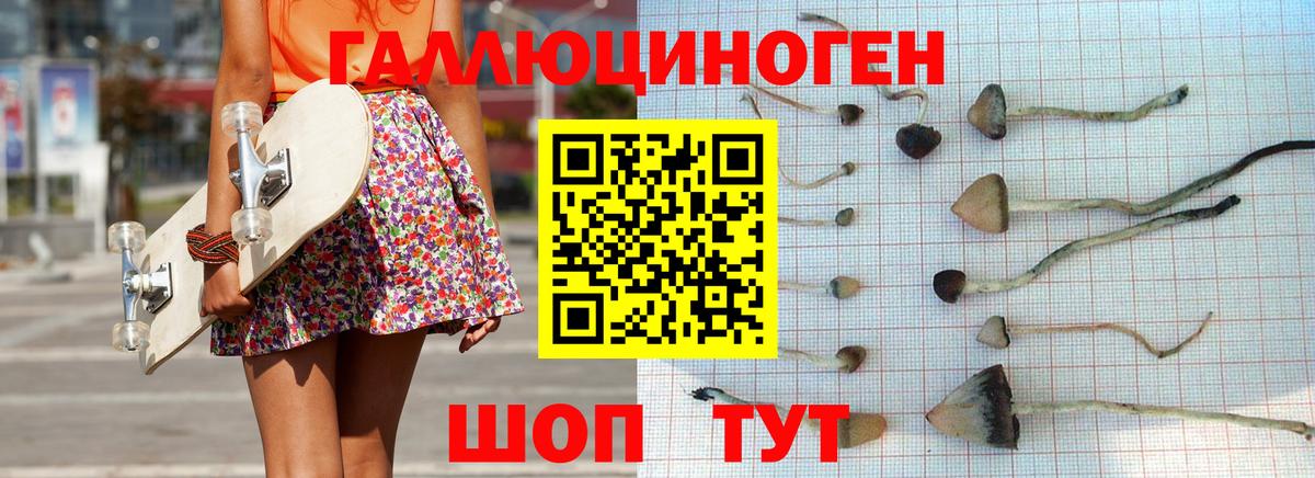 Псилоцибиновые грибы Cubensis  Вход с VPN  Троицк 